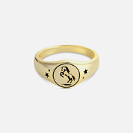 Midnight Stallion Ring - Gold