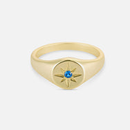 Navigator Signet - Gold