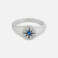 Navigator Signet - Silver